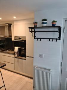 伦敦2 bed Home From Home Apartments的厨房配有冰箱和带植物的台面