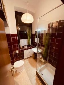科隆Retro Appartement im Herzen von Köln Deutz的浴室配有卫生间、盥洗盆和淋浴。
