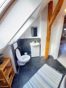 伯格北马格德堡Gemütliche Wohnung in Burg的一间带卫生间和水槽的浴室