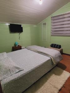 奥索尔诺HOSTAL PARADISE BLUE OSORNO的一间卧室配有一张床和一台平面电视
