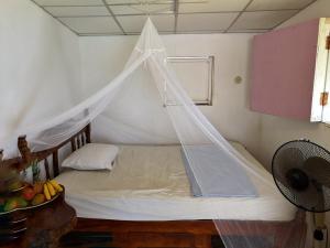 托拉Monkey House Hostel的一间卧室配有一张带蚊帐的床