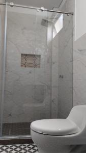 阿卡西亚斯Hotel Guadalupe Acacías的一间带卫生间和玻璃淋浴间的浴室