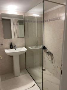 尼亚·蒙达尼亚Baku Apartments的一间带水槽和淋浴的浴室