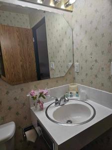 艾伯尼港Ocean Marina Hotel的一间带水槽和镜子的浴室