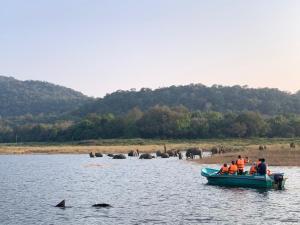 HidaGal Oya Lake View Inginiyagala的一群在水中与大象一起航行的人