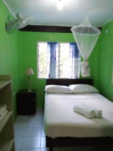 霍尼亚拉Island Home的一间卧室设有绿色的墙壁和一张带窗户的床