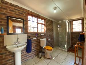 萨尼山口Sani Lodge Self-Catering Cottages Sani Pass South Africa的一间带水槽、卫生间和淋浴的浴室