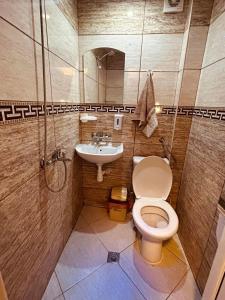 AytosХижа Тополица -The beautiful view的一间带卫生间和水槽的浴室