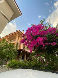 费特希耶Tanaydın Evleri的前面有粉红色花的房子