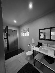 希尔克雷斯特Fever Tree Guesthouse的浴室配有卫生间、盥洗盆和淋浴。