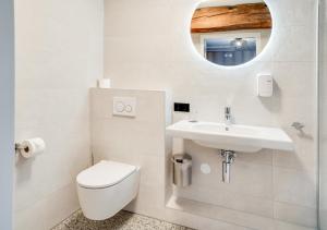 比塞尔Hoeve de Bongerd的一间带卫生间、水槽和镜子的浴室