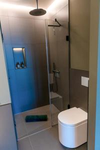 奥尔登堡CABANA - TheView - 10th Floor - Terrasse - Waterfront - Hafenviertel的一间带卫生间和玻璃淋浴间的浴室