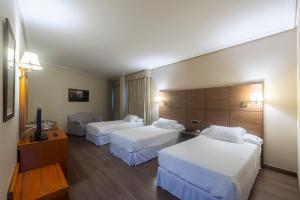 庞特维德拉加利西亚皇宫酒店的酒店客房设有两张床和电视。