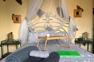 圣克鲁斯-德特内里费CASA RURAL CANARIA HOMBRE DE PALO的一间卧室配有一张带天蓬的床