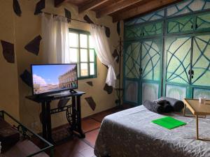 圣克鲁斯-德特内里费CASA RURAL CANARIA HOMBRE DE PALO的一间卧室配有一张床和一张桌子上的电视
