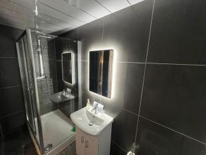 ArdrishaigThe Grey Gull Hotel的一间带水槽、卫生间和镜子的浴室