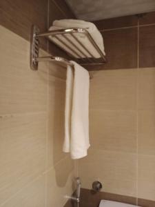 法尤姆Queen Hotel Fayoum的带淋浴和白色毛巾的浴室