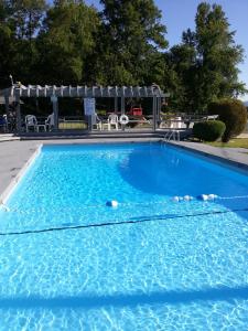 富兰克林卡罗来纳汽车旅馆的一个带凉棚的大型蓝色游泳池