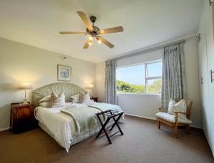 科尔切斯特苏朵尼旅馆的一间卧室配有一张带吊扇和窗户的床。