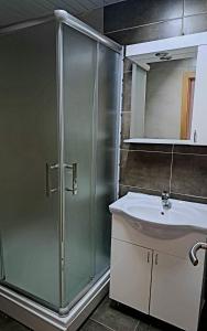 斯科普里Railway Hostel的带淋浴和盥洗盆的浴室