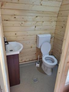 MesenteaCristel Căsuța Fără Gânduri的木制浴室设有卫生间和水槽