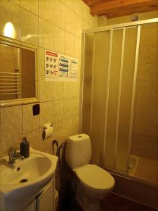 韦特利纳Mala Chatka的浴室配有卫生间、淋浴和盥洗盆。