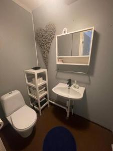 夏洛滕贝格Lantlig Lägenhet的一间带卫生间、水槽和镜子的浴室