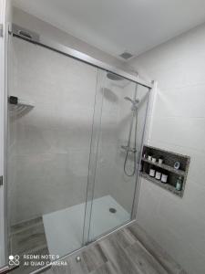 阿罗萨新镇APARTAMENTOS LA CAPILLA的浴室里设有玻璃门淋浴