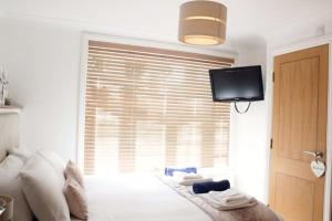 佩恩顿Goodrington Lodge Holiday Apartments的一间卧室设有一张带电视和窗户的床。