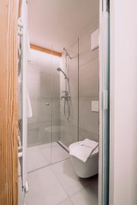 瑟尔Alpengasthof Hochsöll的一间带卫生间和玻璃淋浴间的浴室