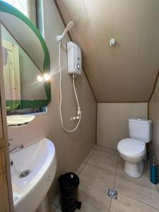 巴统Hotel Voisa/სასტუმრო ვოისა的一间带卫生间和水槽的小浴室