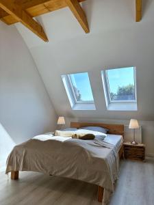 布伦瑞克SKYLINE Penthouse Apartment - Luxus & Zentral的一间卧室配有一张床,猫睡在卧室里