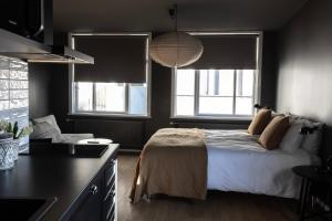 雷克雅未克雷伊公寓 的一间卧室设有一张床和两个窗户。