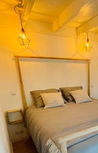 诺德韦克Tiny House Noordwijk aan Zee的一间卧室配有一张大床和两个枕头