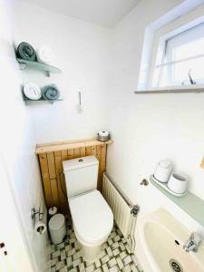 诺德韦克Tiny House Noordwijk aan Zee的一间带卫生间和水槽的小浴室