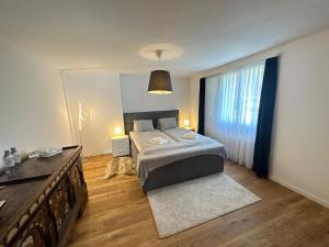 坎德施泰格Alpina Appartment Kandersteg的一间卧室设有一张床和一个大窗户