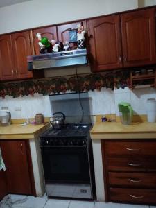 马查拉Espacio familiar Poma的厨房配有炉灶和一些木橱柜。