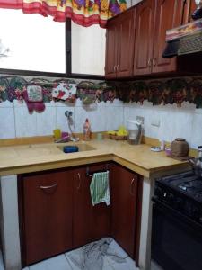 马查拉Espacio familiar Poma的厨房配有木制橱柜、水槽和炉灶。