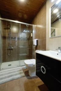 布拉干萨Casa do Javali的带淋浴、卫生间和盥洗盆的浴室