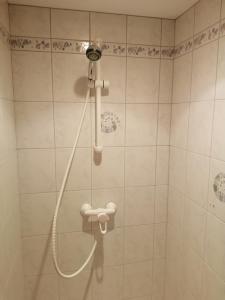 科尔鲁瓦拉罗克Le Breval的浴室内带软管的淋浴