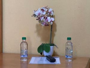 帕纳哈切尔Hotel-Villas JABEL TINAMIT的花瓶和两瓶水