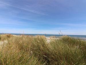 维斯特索马肯Holiday Home Alita - 300m from the sea in Bornholm by Interhome的一片高大的草地和大洋背面的海滩