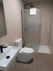 洛斯马蒂雷斯APARTAMENTOS Posada Del Mar的浴室配有卫生间、盥洗盆和淋浴。