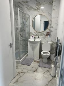 西布罗姆维奇Luxury apartment in dudley的一间带卫生间、水槽和镜子的浴室