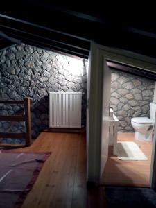波利兹罗松PS Apartment Polydrosos - PS Rental的一间带卫生间和石墙的浴室