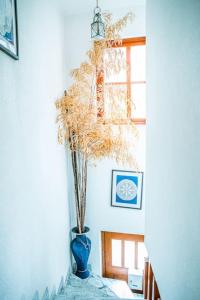 蒙丁-迪巴什图Casa da Ernesta的蓝色花瓶和室内植物
