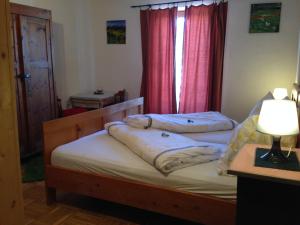 洛伊塔施雷塔锡/蒂罗尔“0”斯特恩韦瑟斯洛瑟酒店的卧室设有两张单人床和窗户。