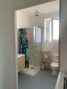 勒拉旺杜T3 vue mer的带淋浴、卫生间和盥洗盆的浴室
