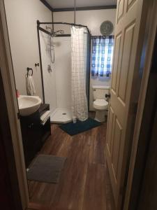 3 bed/2 bath Riverside cabin的一间带水槽、卫生间和淋浴的浴室