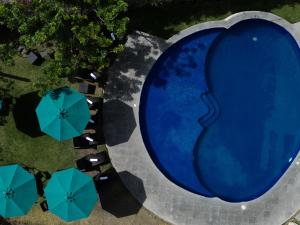 查帕拉Memora Chapala的享有带遮阳伞的游泳池的顶部景致